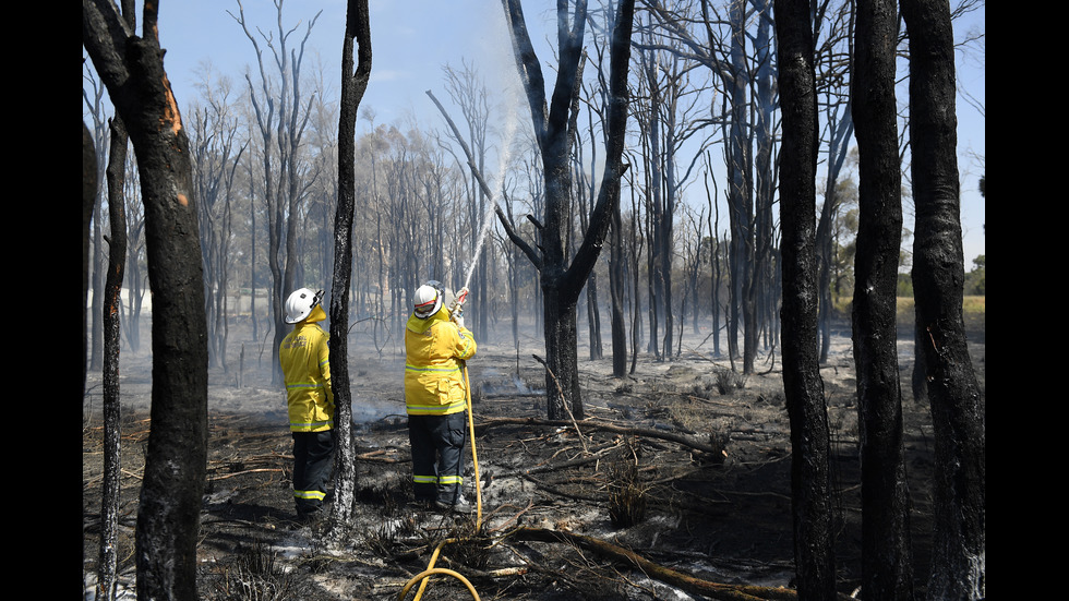 Бедствено положение заради пожарите в Австралия