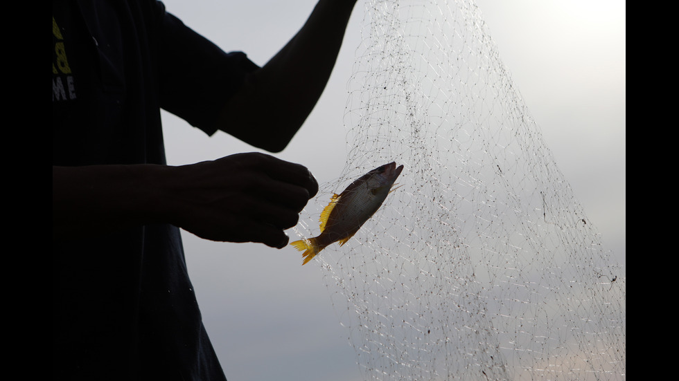 Светът отбелязва Деня на океаните