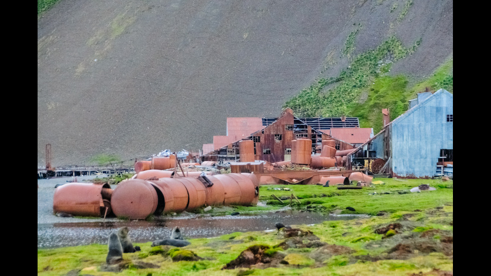 На 1400 км от цивилизацията и то само по море: Най-изолираният остров в света