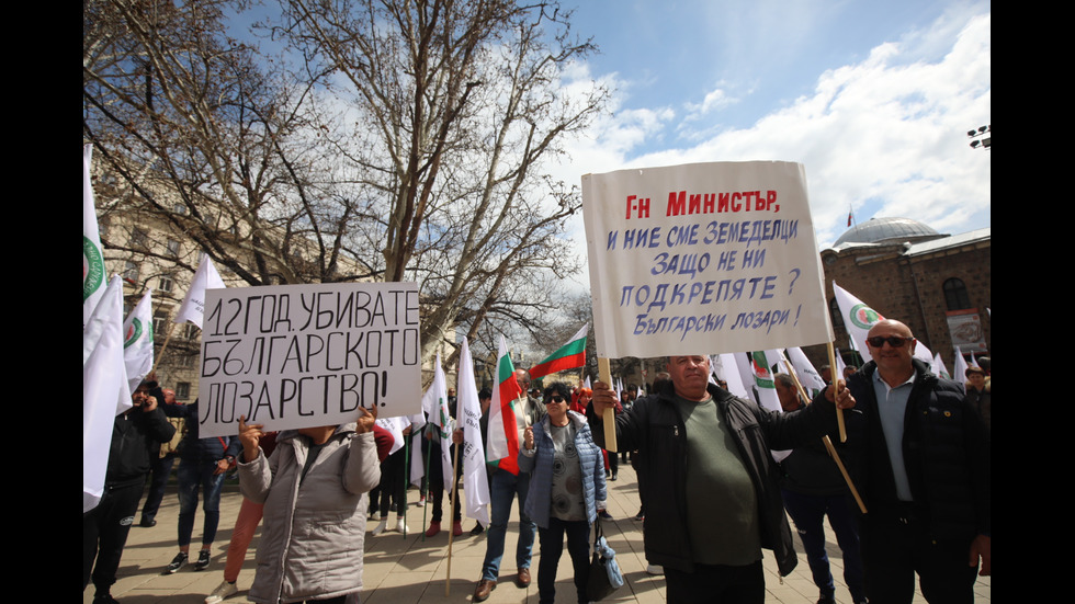 Лозари излязоха на протест