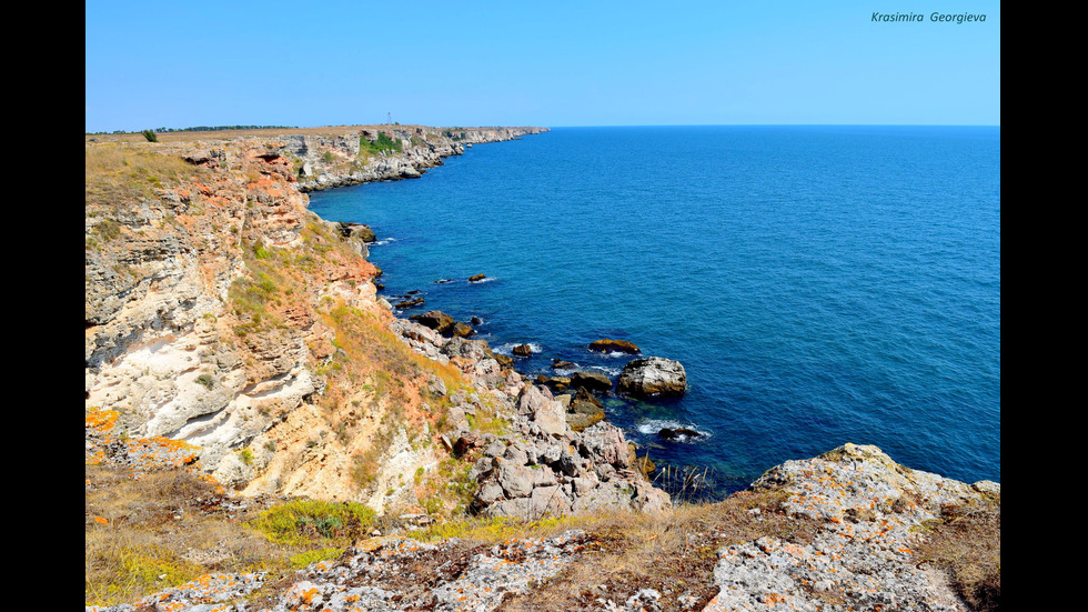 Черно море празнува!