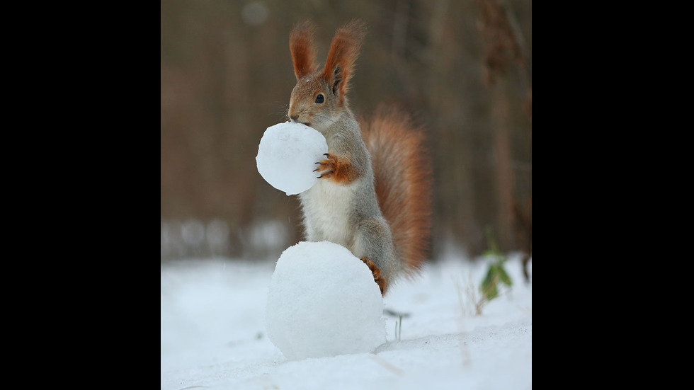 Играта на катеричките