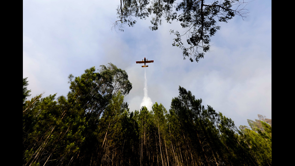 Какви са последствията от пожара в Португалия?