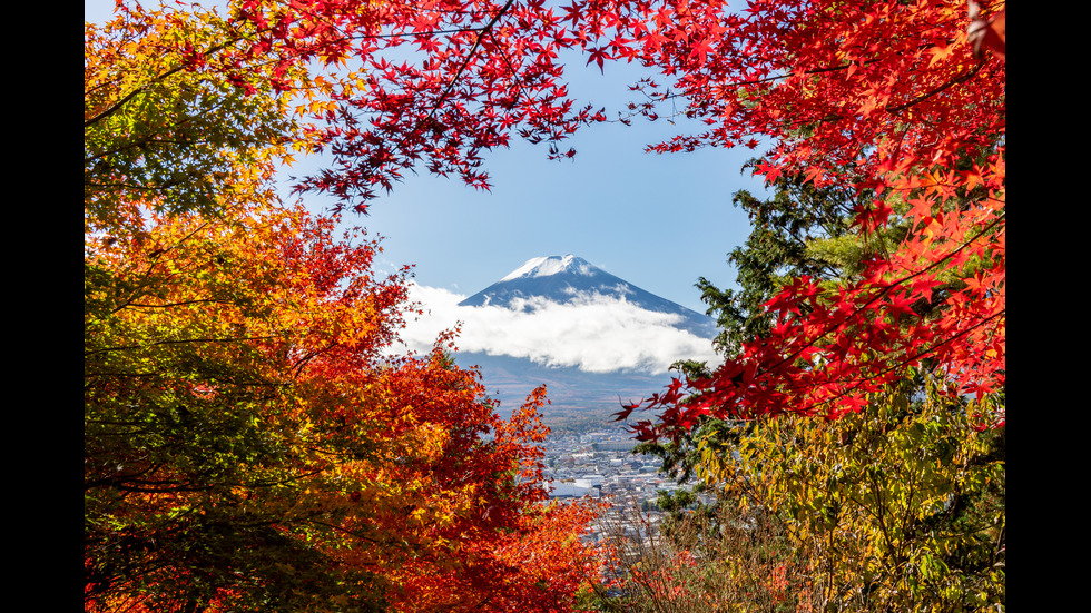 Есенна Япония - страната, в която ходят на "лов за листа"