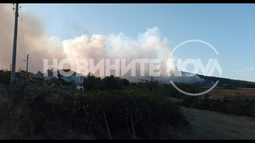 Горски пожар бушува край Кирково