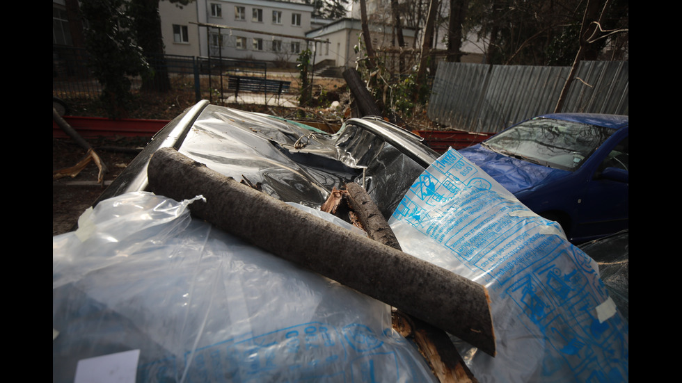 Бурният вятър нанесе щети в София