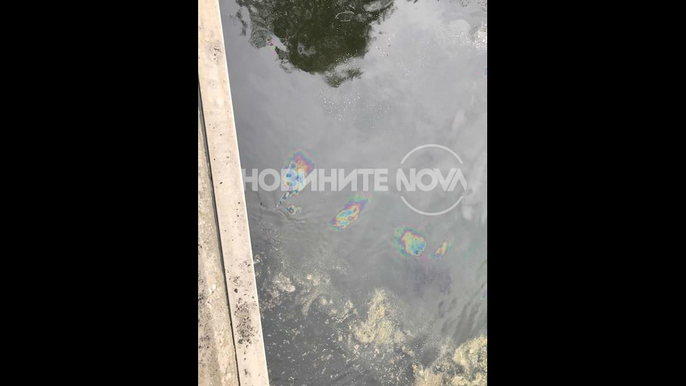 Разлив на нафта замърсява реката край село Ахелой