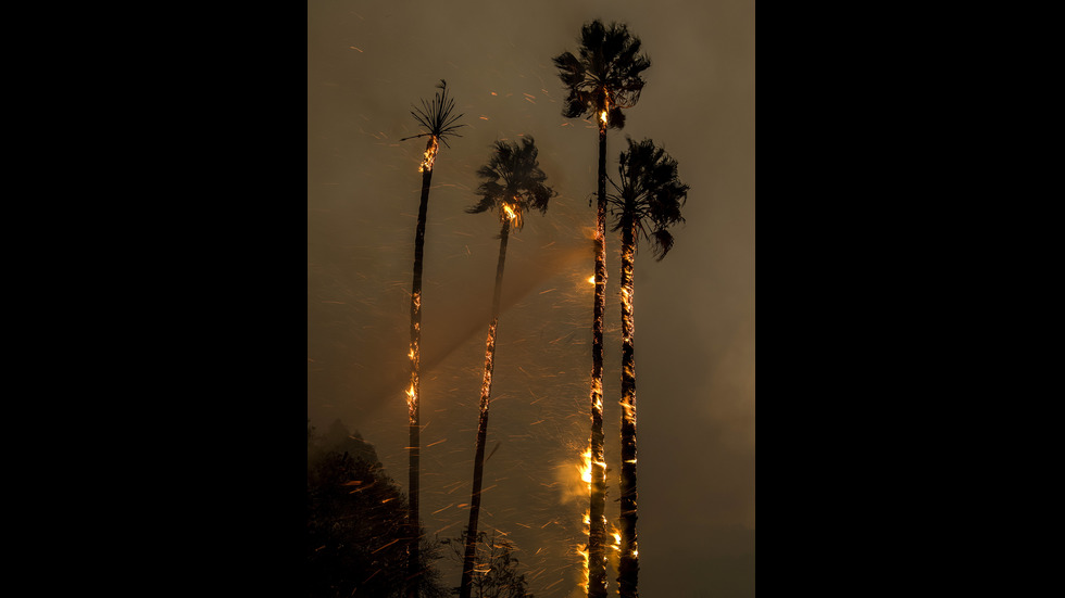 Огнено бедствие в Калифорния