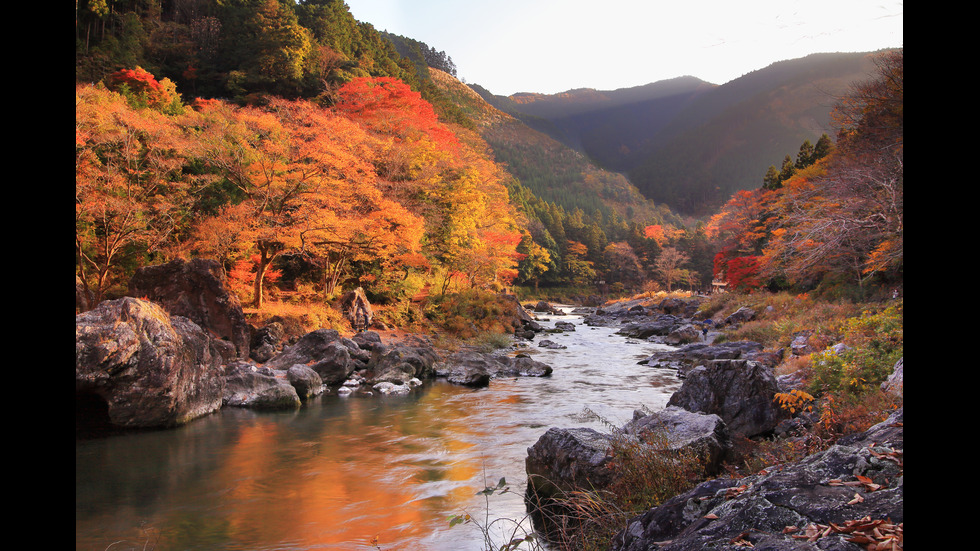 Есенна Япония - страната, в която ходят на "лов за листа"