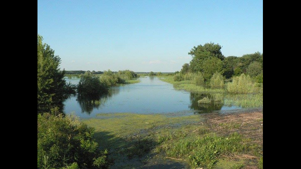 Красотата на резервата "Сребърна"