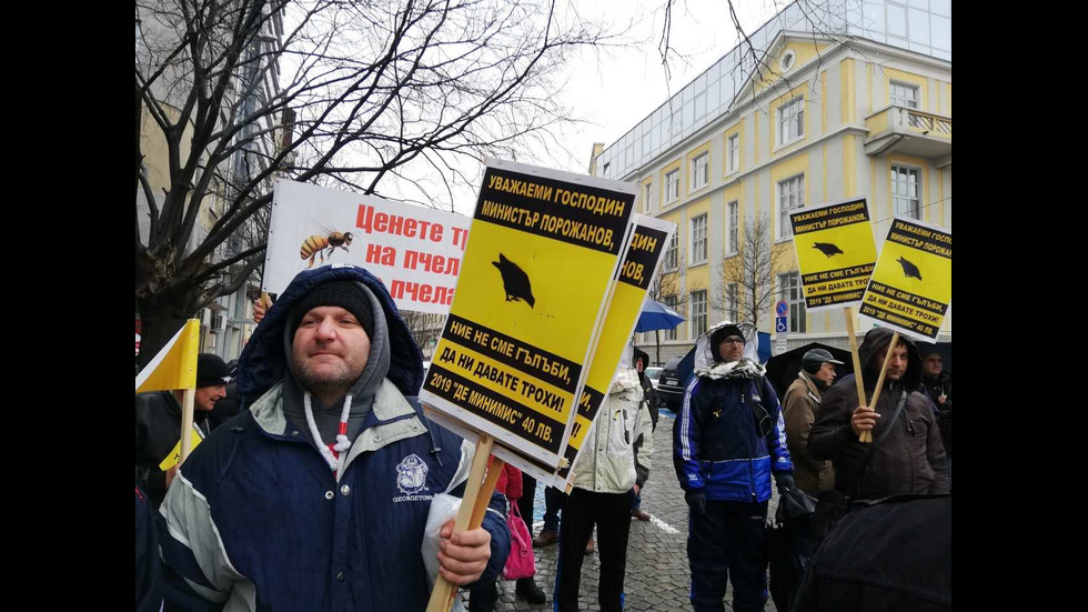 Протест на пчеларите в София