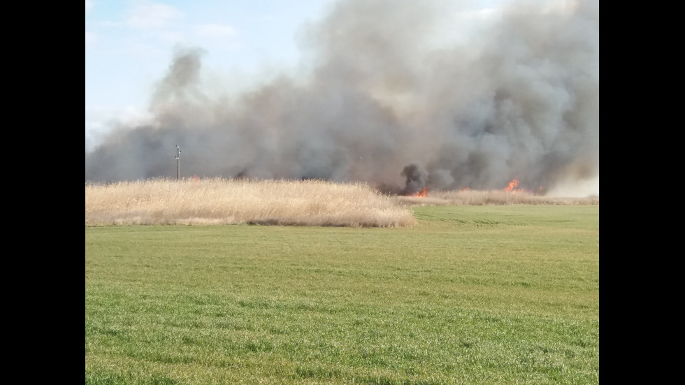 Пожар горя в защитената местност Орловото блато