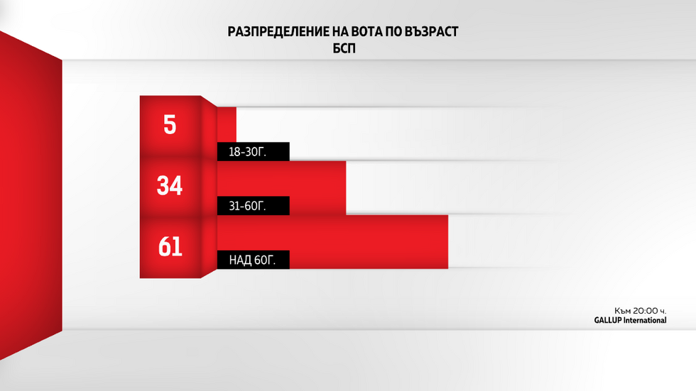 ДЕМОГРАФИЯ НА ВОТА: Как гласуваха българите?