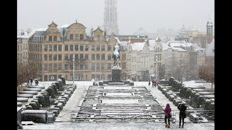 Снегът предизвика транспортен колапс в Белгия