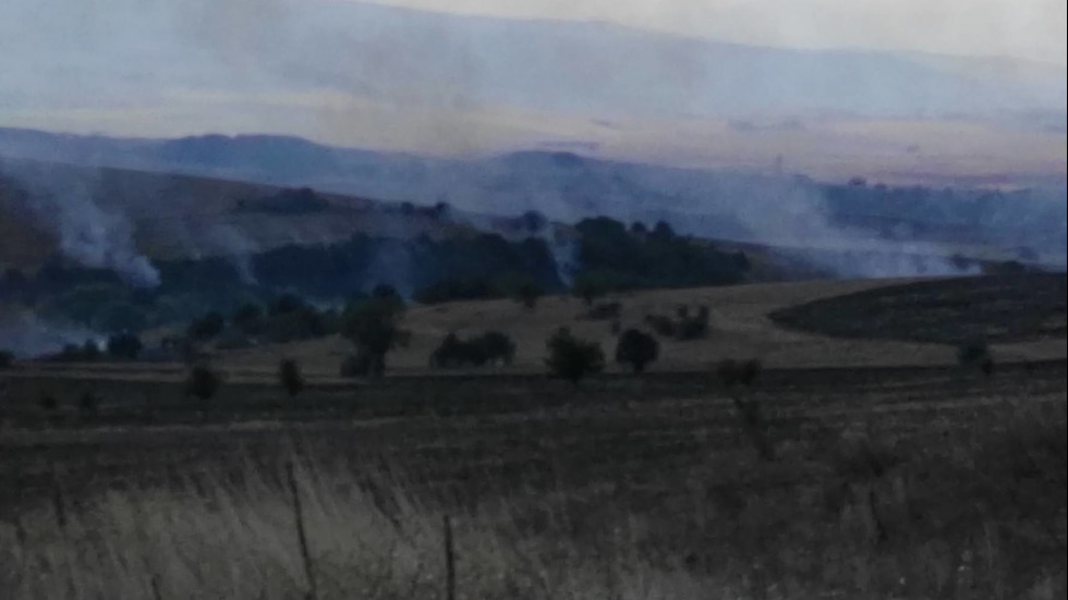 Пожар до пернишкото село Дивотино