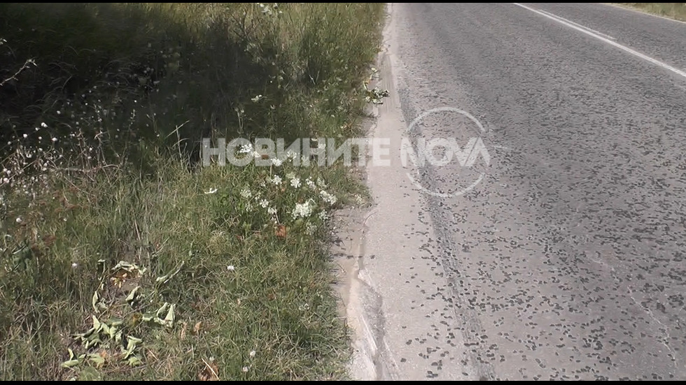 15-годишно момиче загина при катастрофа на пътя Враца - Оряхово