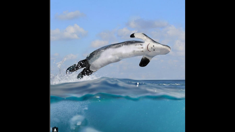 Баща създава уникални колажи с картините на 6-годишния си син