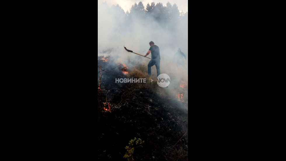 Пожар затвори магистрала "Тракия"