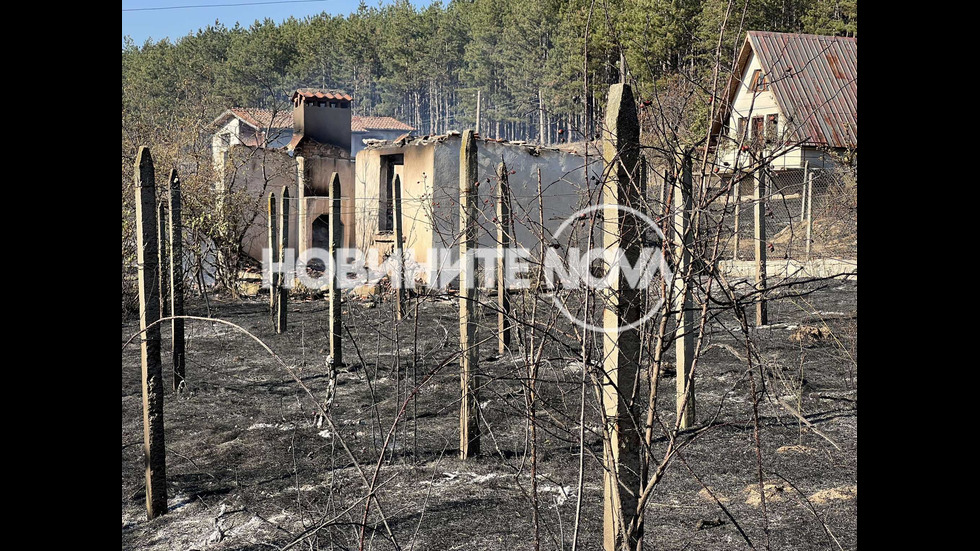 Пожар изпепели три вили, пчелин и 200 дка в Пазарджишко