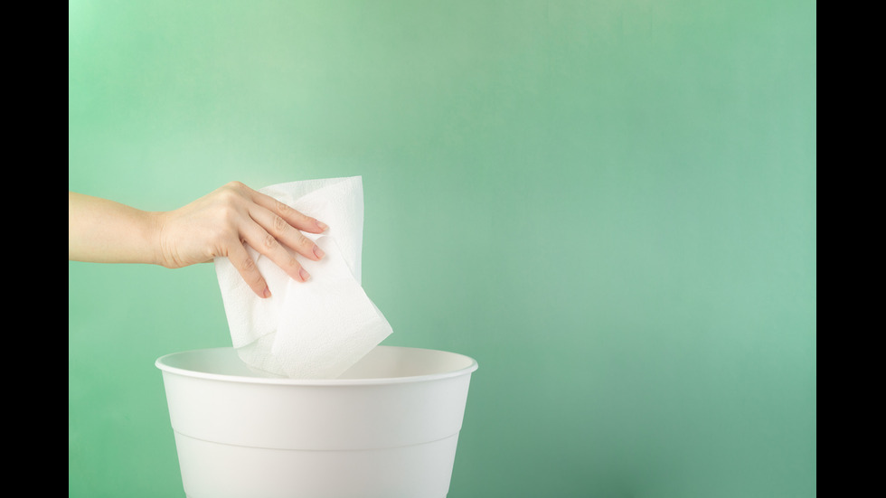 Тоалетни особености: Какъв е етикетът в различните държави