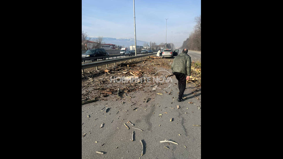 Дърво падна върху кола на "Цариградско шосе" в София