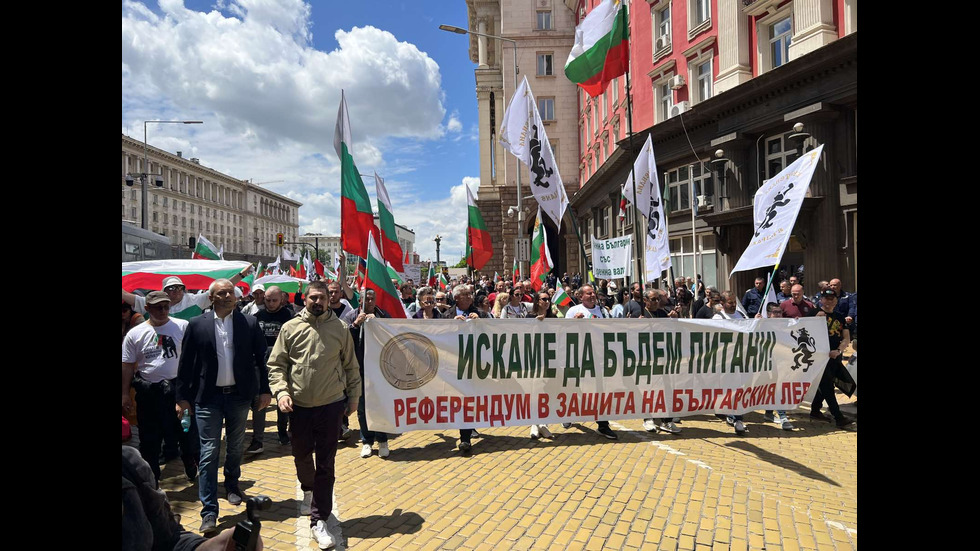 Протести в защита на българския лев в цялата страна