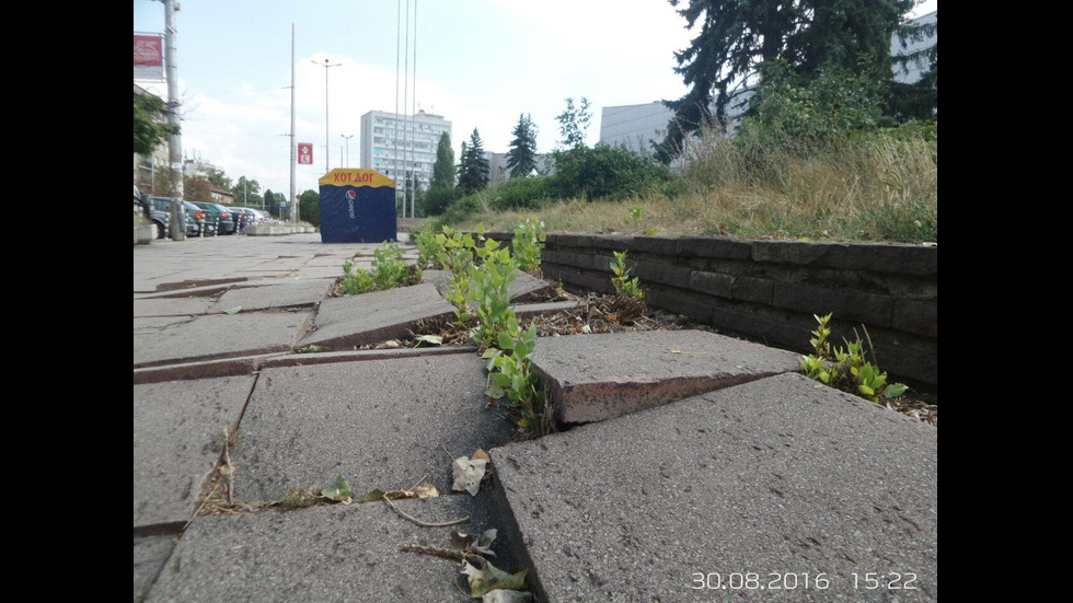 София през погледа на Влади Въргала и Август Попов