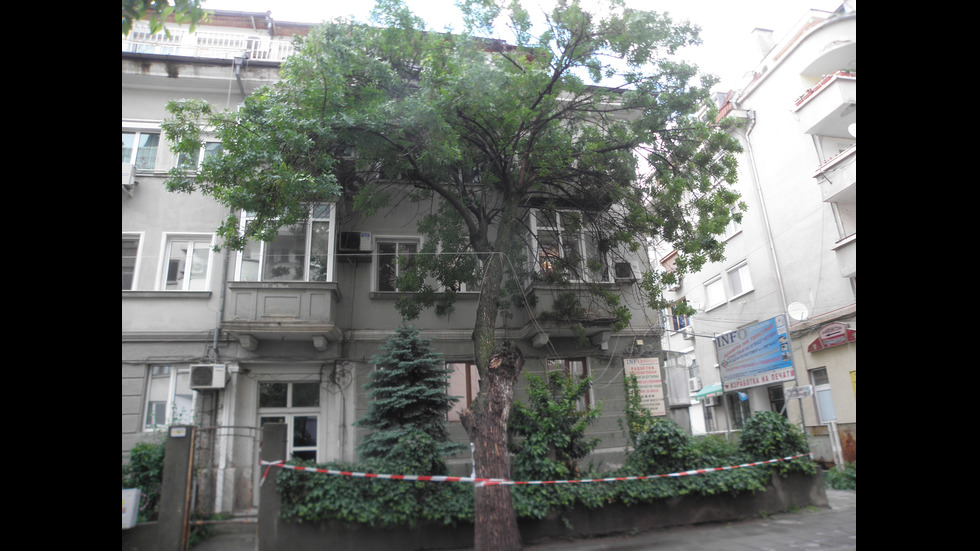 Бурята в Благоевград бутна дърво в 3-етажна сграда