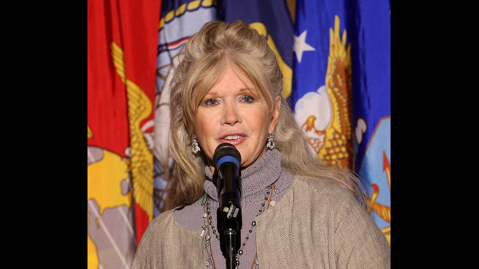 Звезди, които се радват на процъфтяваща кариера след пенсионирането си