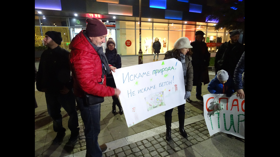 Протести против строителство и сеч в Пирин