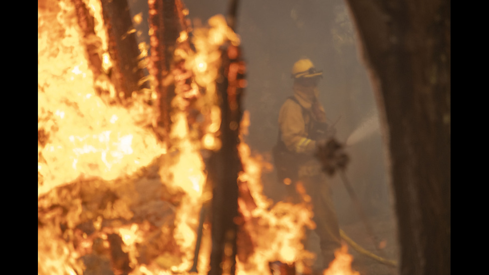 Евакуират над 40 000 души заради пожари в Калифорния