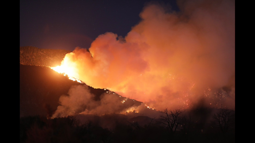 Над 8000 евакуирани заради пожари в Калифорния