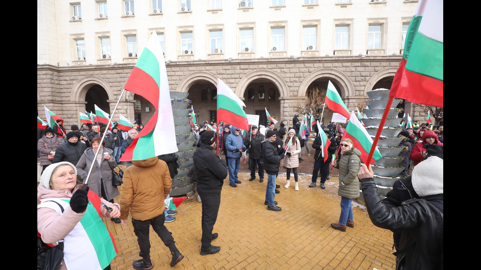 „Величие“ протестира пред Конституционния съд