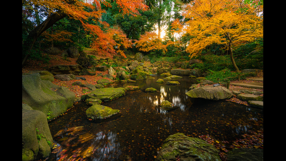 Есенна Япония - страната, в която ходят на "лов за листа"