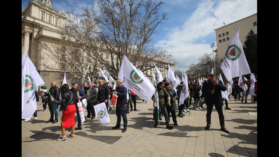 Лозари излязоха на протест