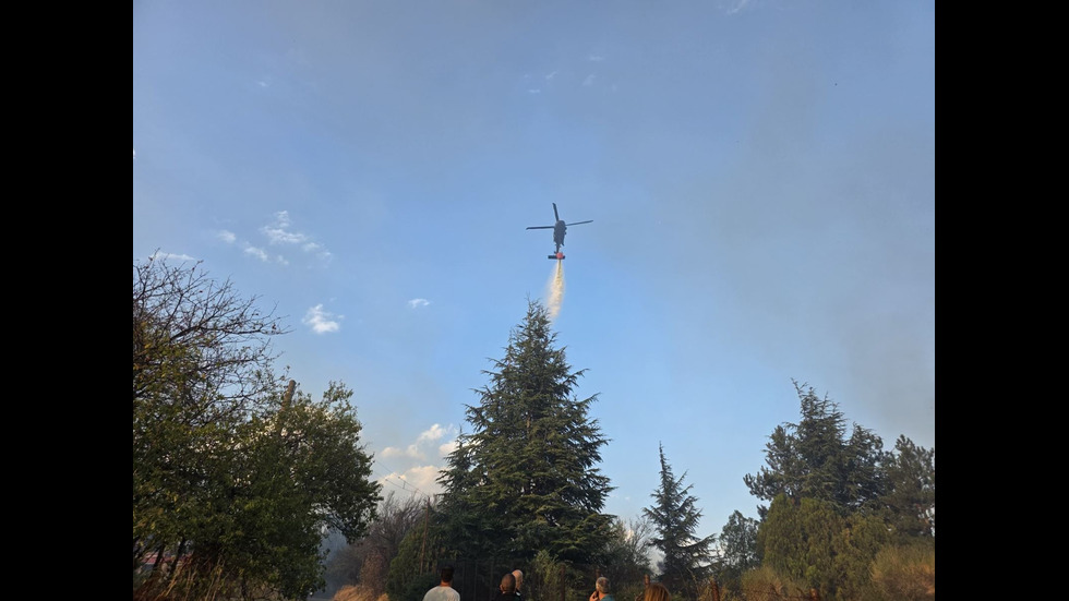 Пожарът край Сунгурларе отново се разпалва, евакуираха жителите на село Скала