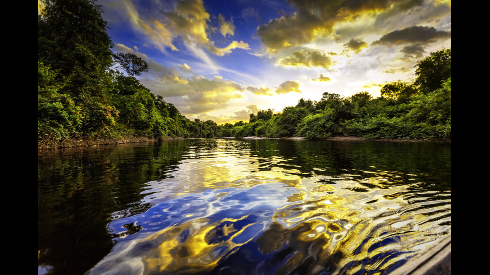 Мистериозната Амазония: Тайни и богатства (ГАЛЕРИЯ)