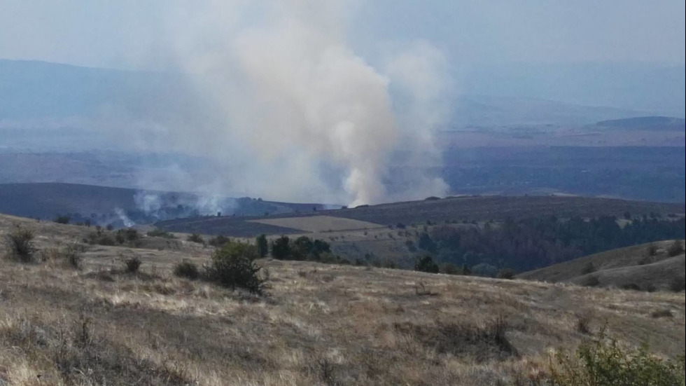 Пожар до пернишкото село Дивотино