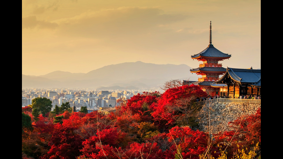 Есенна Япония - страната, в която ходят на "лов за листа"