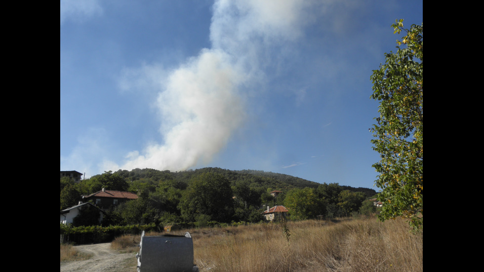 Голям пожар гори край Бобошево