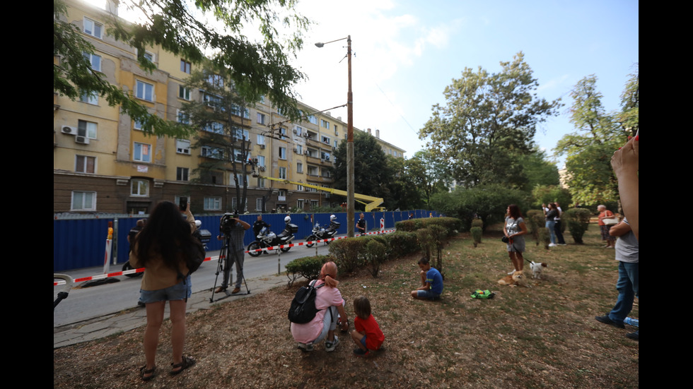 Започна рязането на дървета на улица "Опълченска" в София