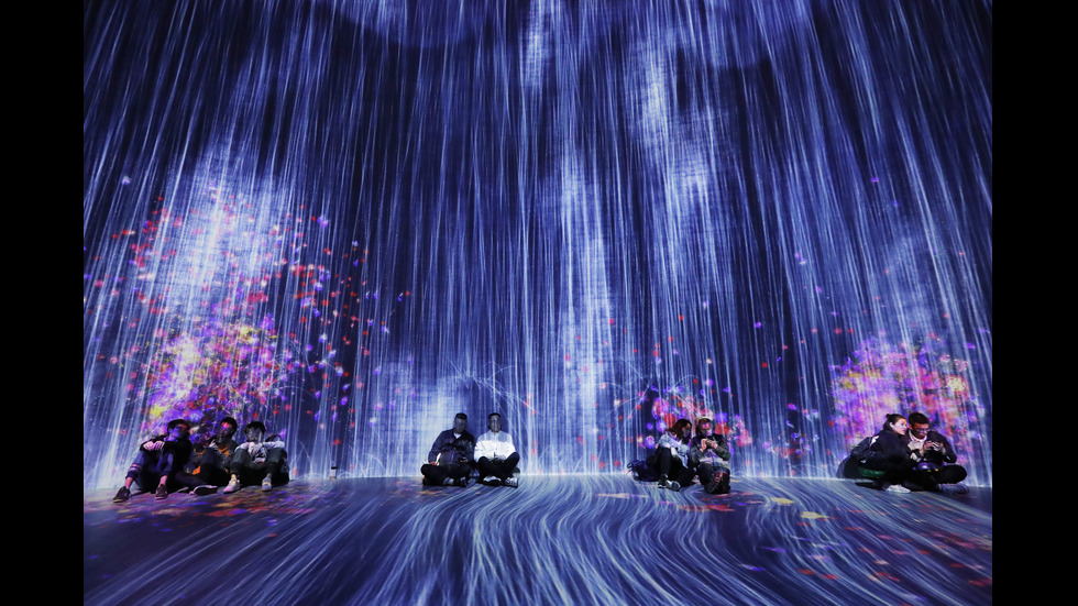 Новините на 2019-а в снимки