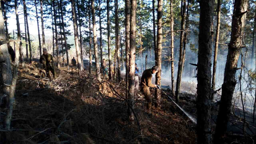 Голям пожар край Стара Загора