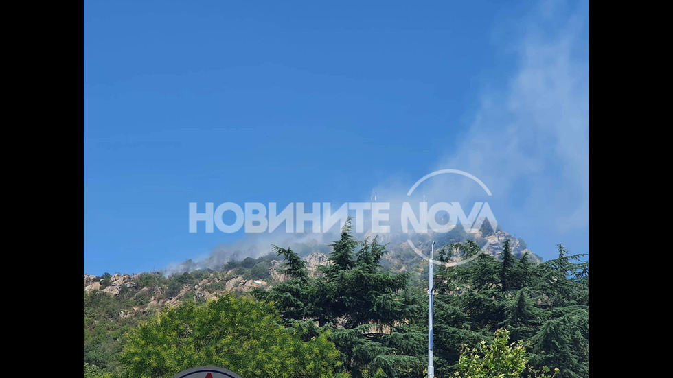 Гори Младежкият хълм в Пловдив