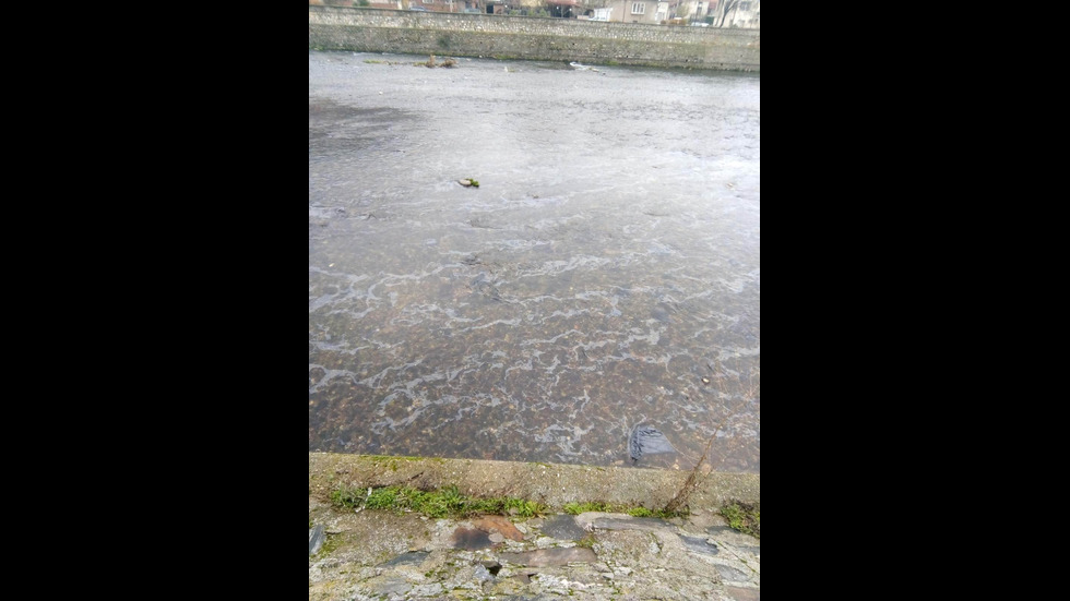 Замърсяване на река Въча
