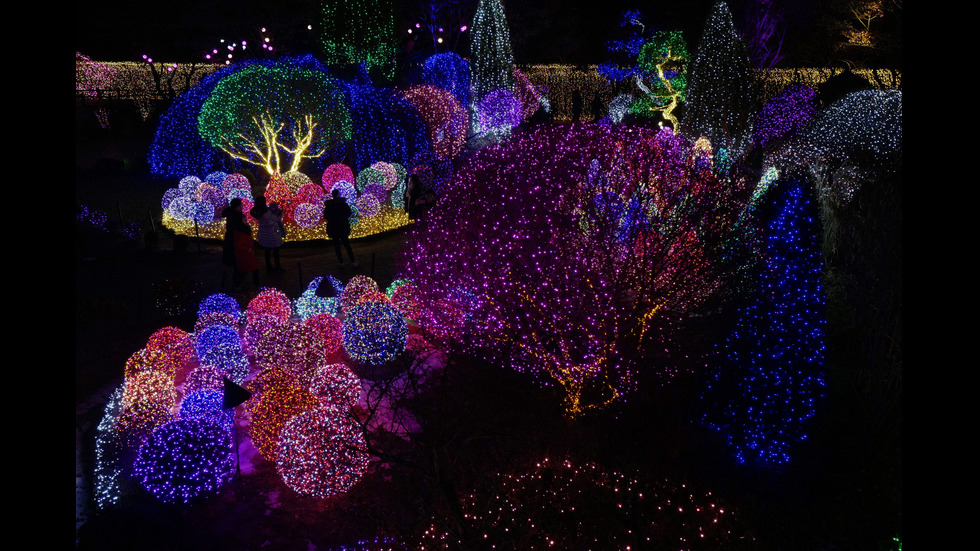 Коледен фестивал в Южна Корея