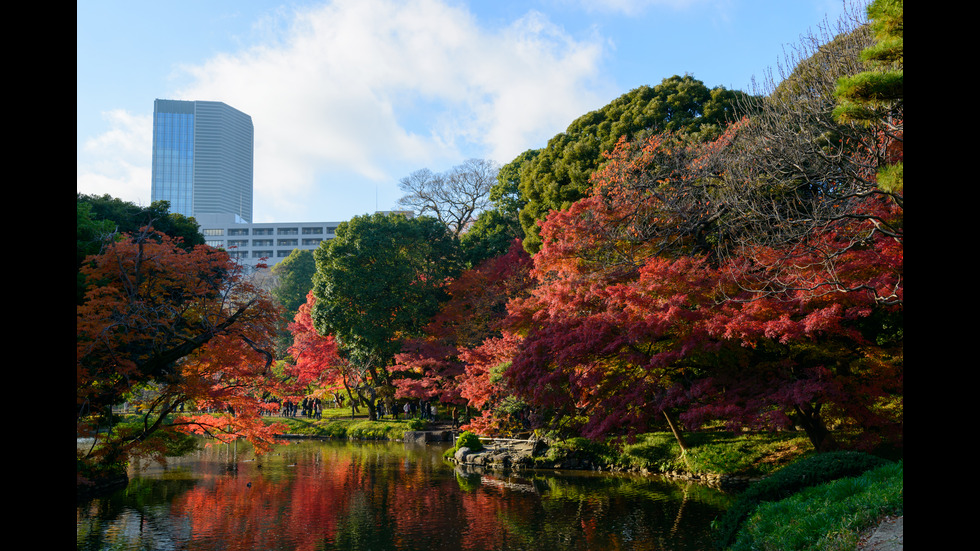 Есенна Япония - страната, в която ходят на "лов за листа"