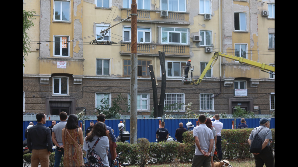 Започна рязането на дървета на улица "Опълченска" в София