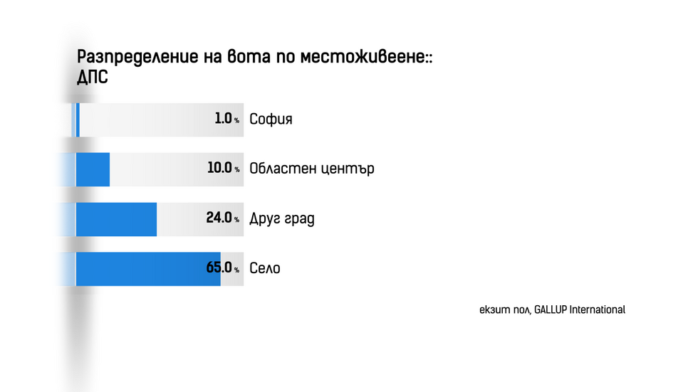 ДЕМОГРАФИЯ НА ВОТА: Как гласуваха българите?