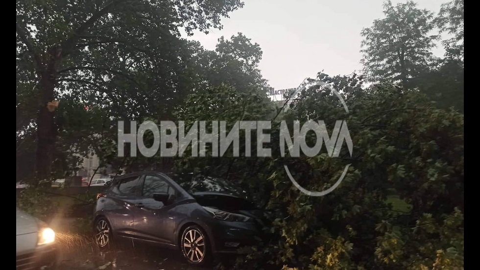 Дърво падна върху движеща се кола в София